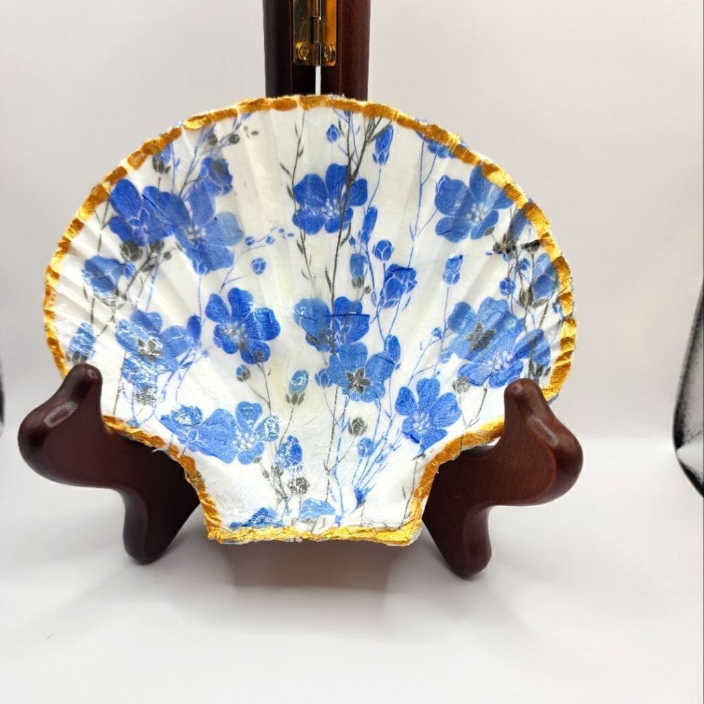SCALLOPED FAN SHELL 